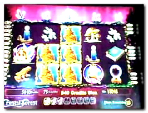 €205 No deposit bonus at Casino Dingo